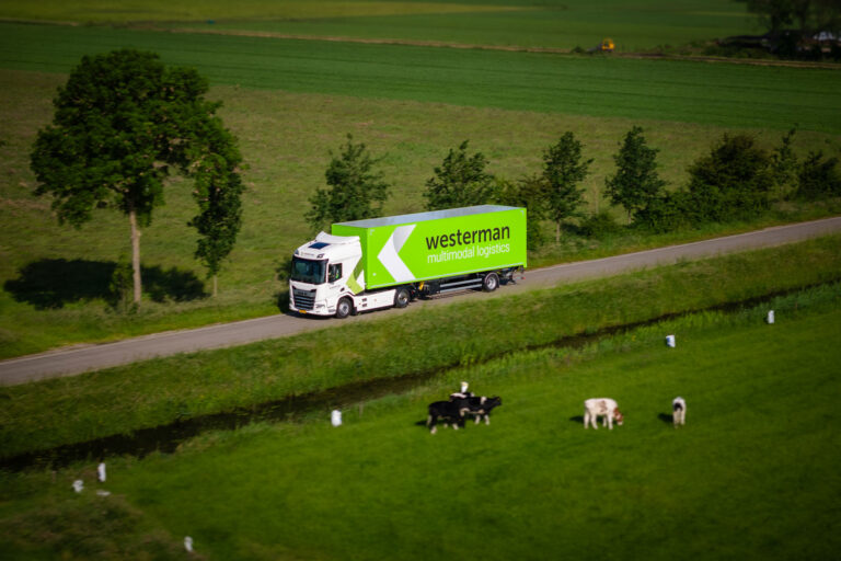 Westerman-truck op landweg naast koeien